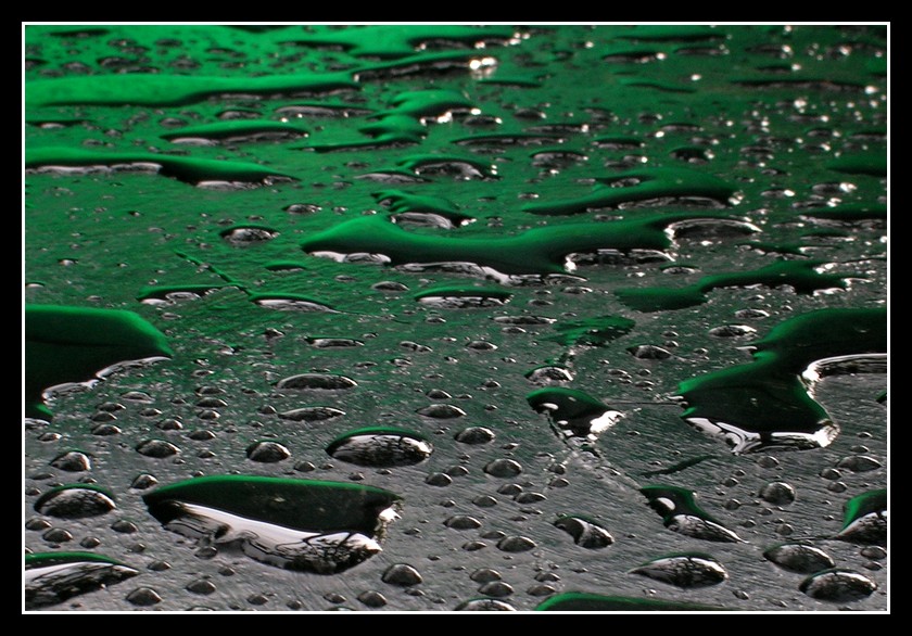 Pioggia acida