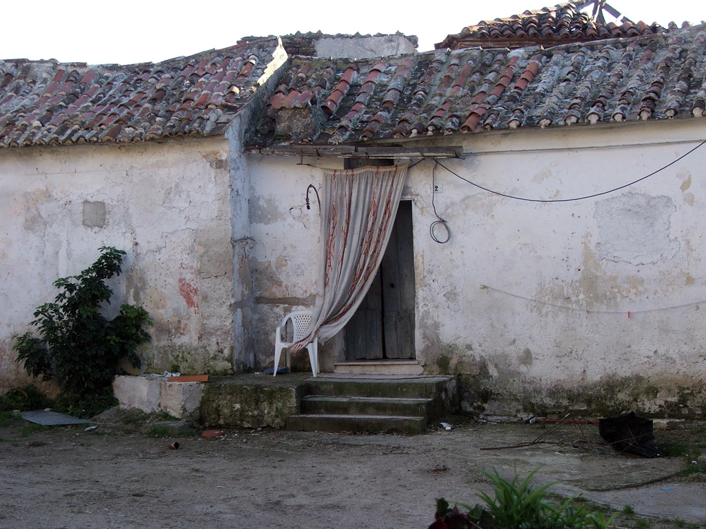 2010