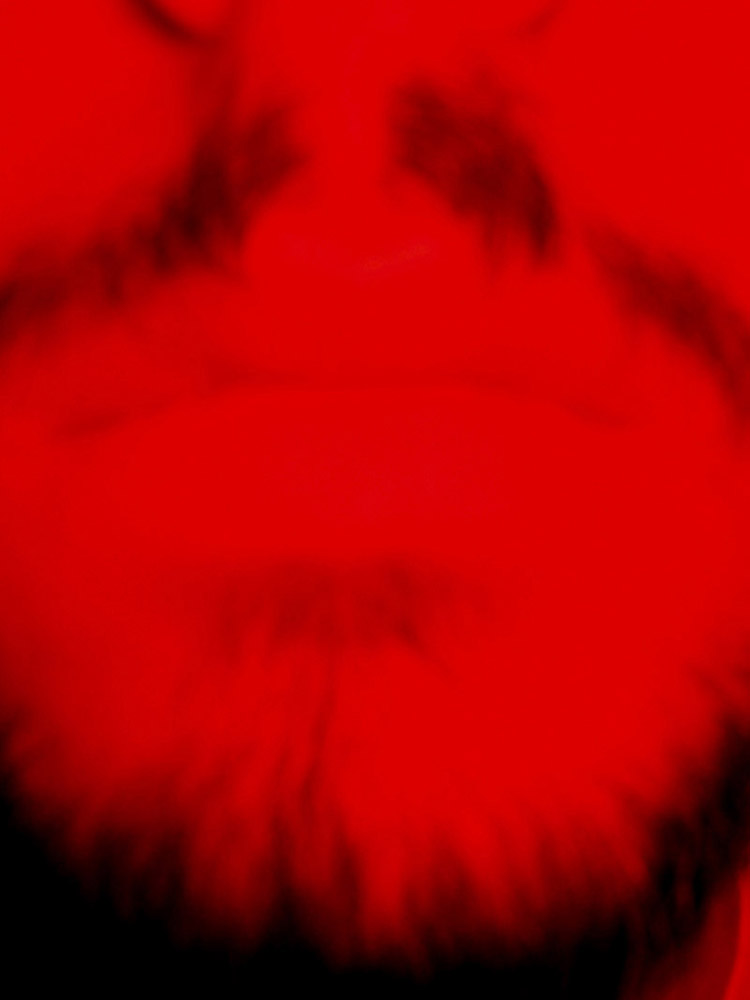 Selfportrait