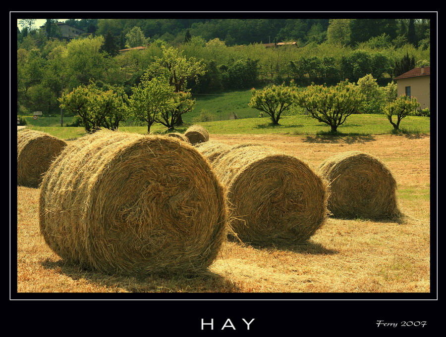 Roll di fieno....