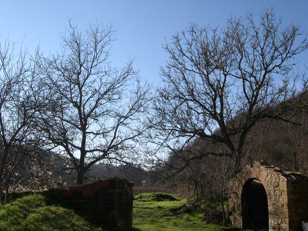 Valle