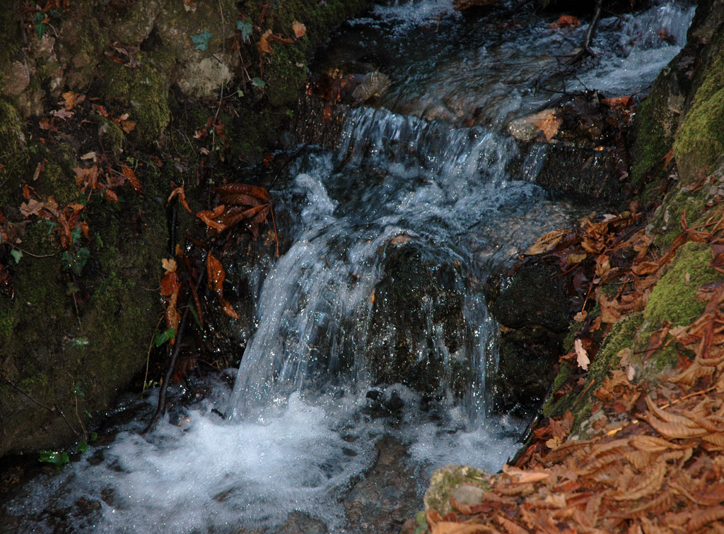 ruscello