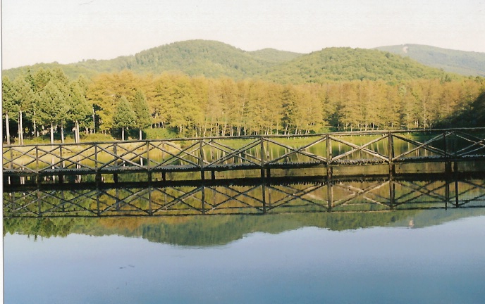 lago