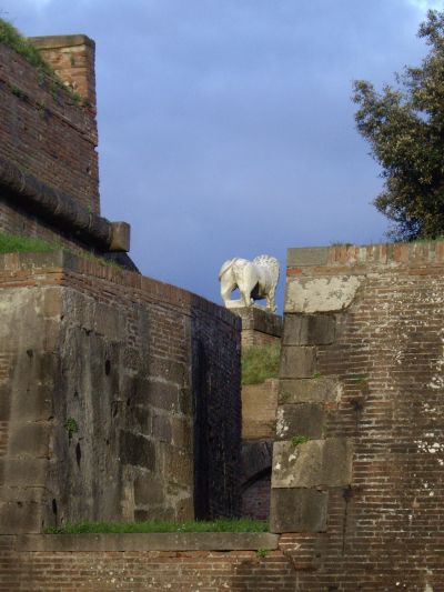 il leone di spalle