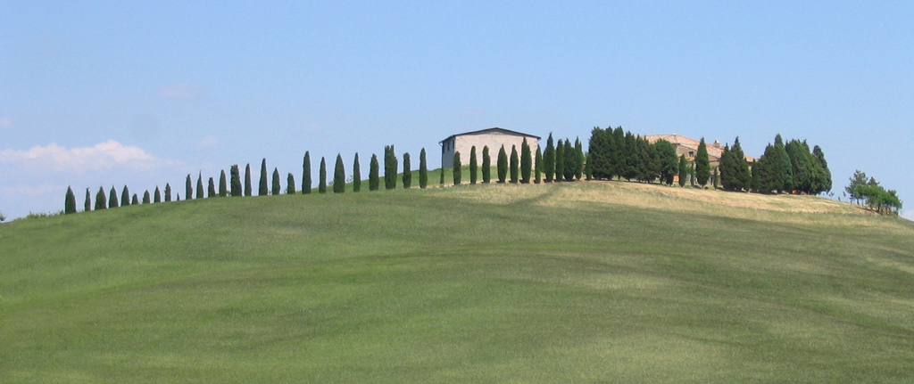 profilo toscano