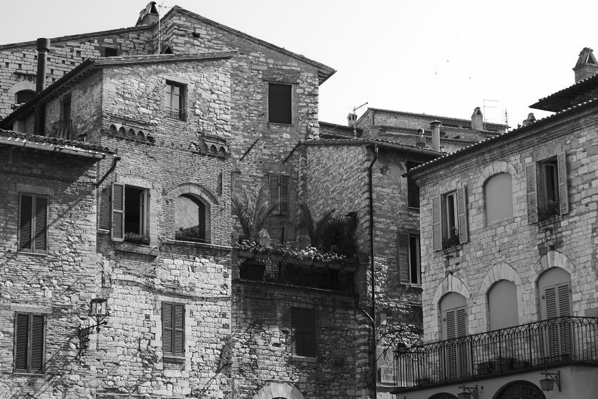 assisi2