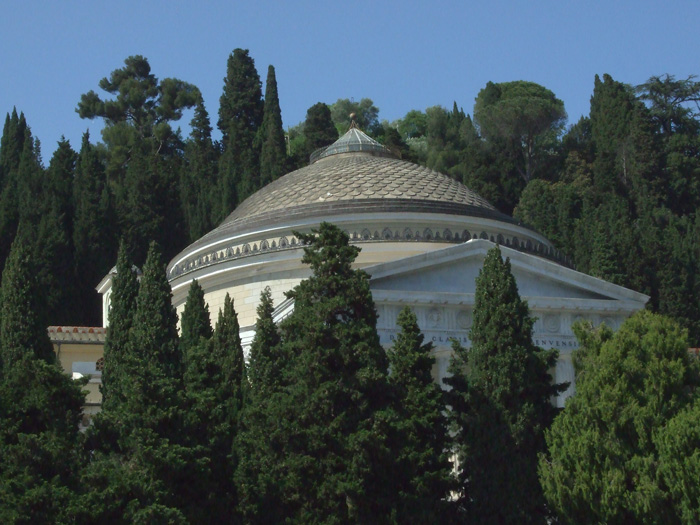Tra gli alberi