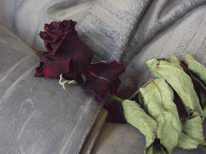 La rosa e la morte