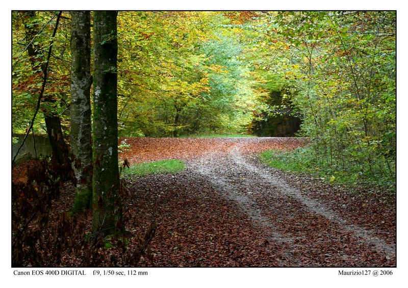 autunno