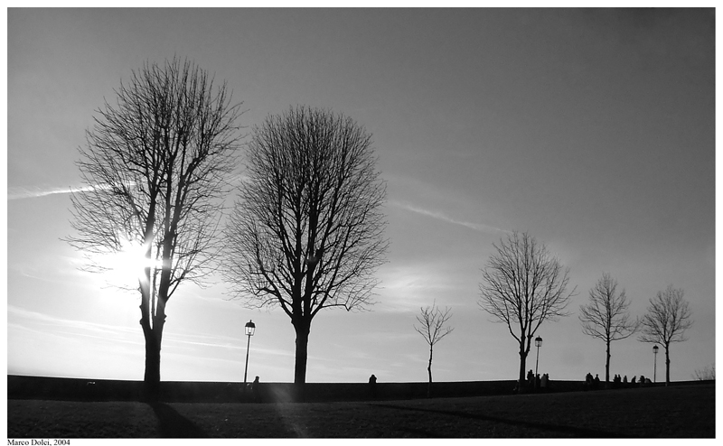 alberi