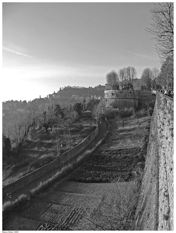 orto abbarbicato