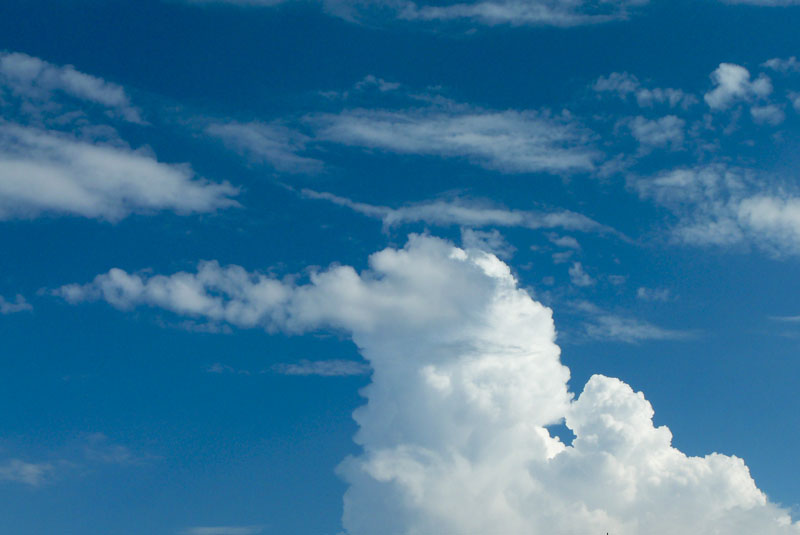 cielo