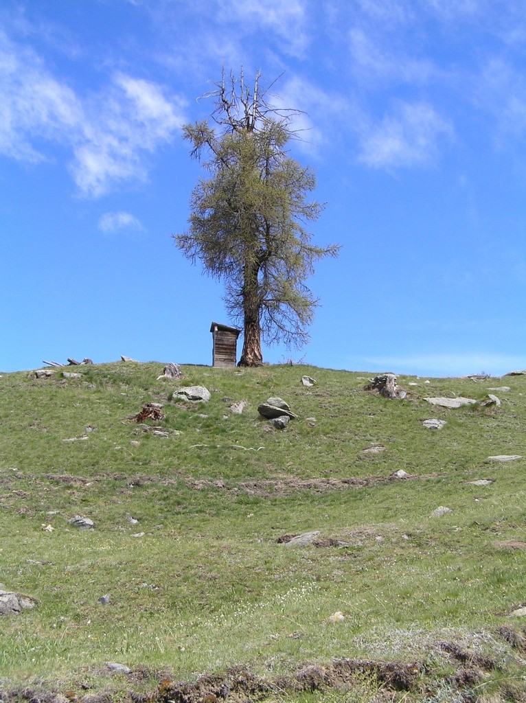 Baitel