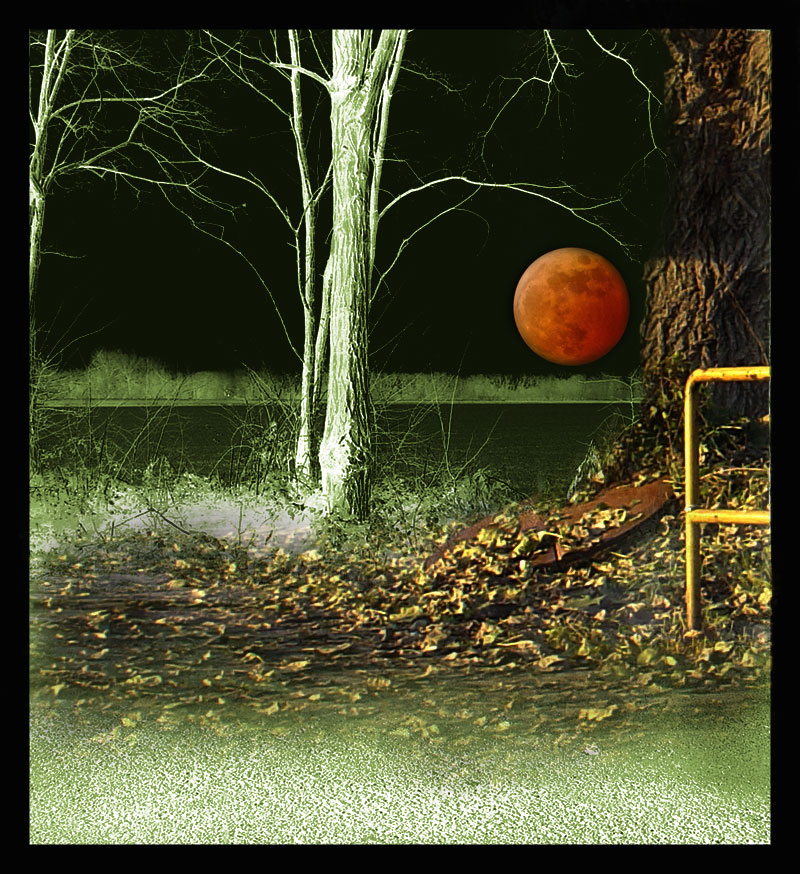 Notte magica....