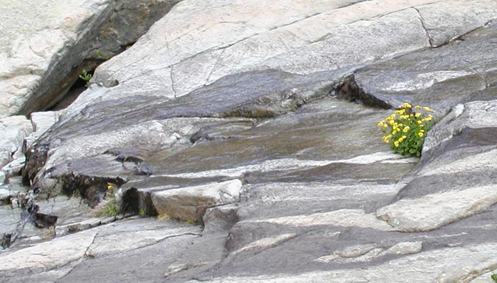 La forza della natura