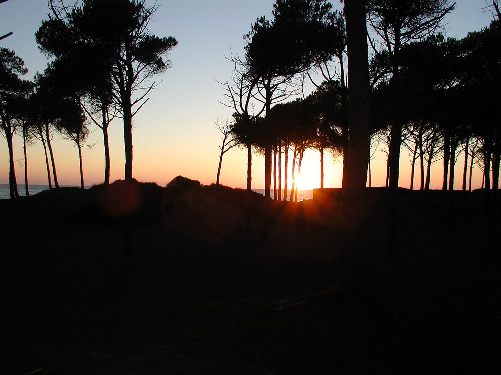 Silouette naturale