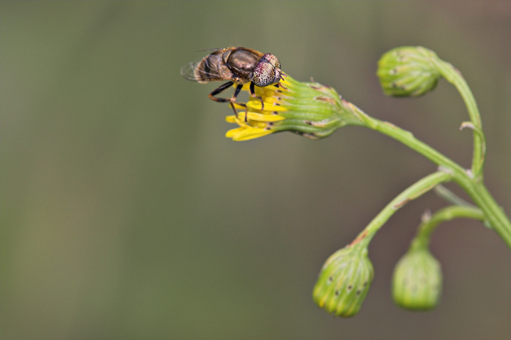 ottimismo (fotogramma mezzo pieno)