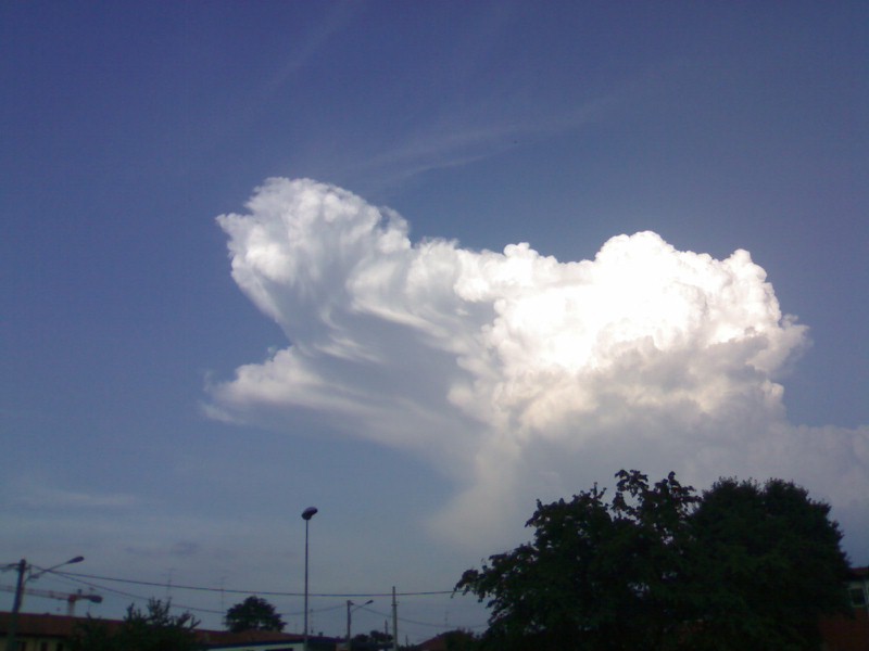 Cielo