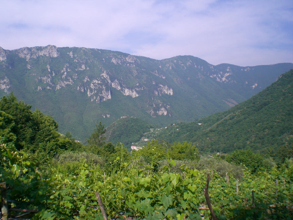 Valle del fiume Tenza