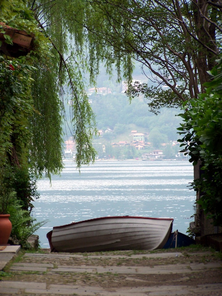 vista tra i salici
