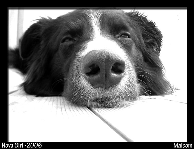 Dagan, summer '06