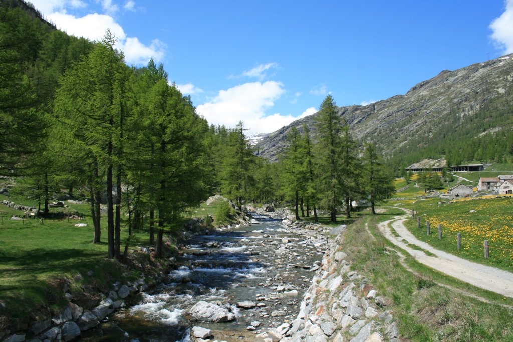 Verde alpino