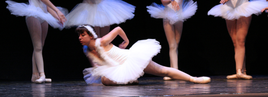 Cigno