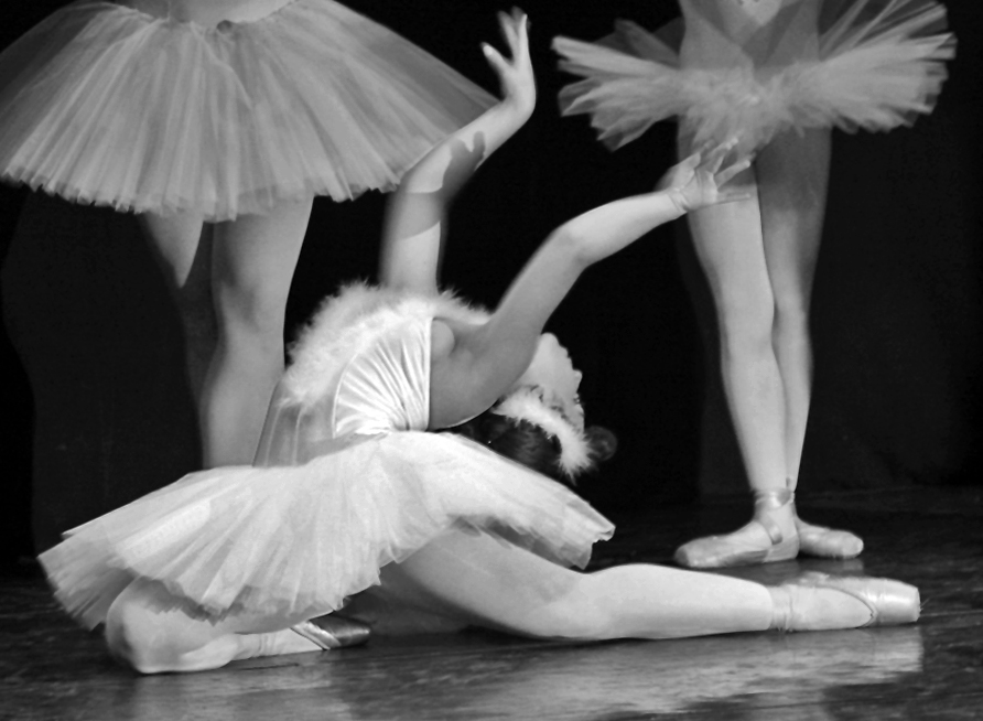 Il Cigno