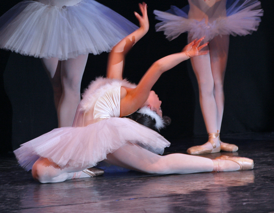 Il Cigno #