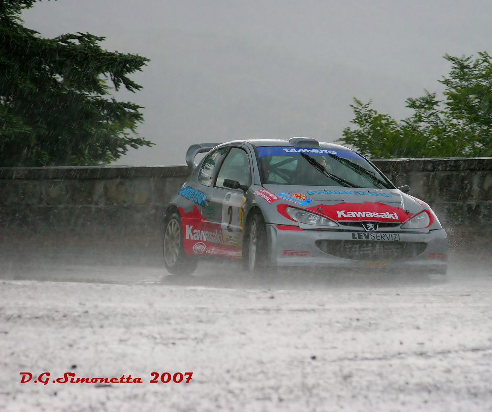 rally3