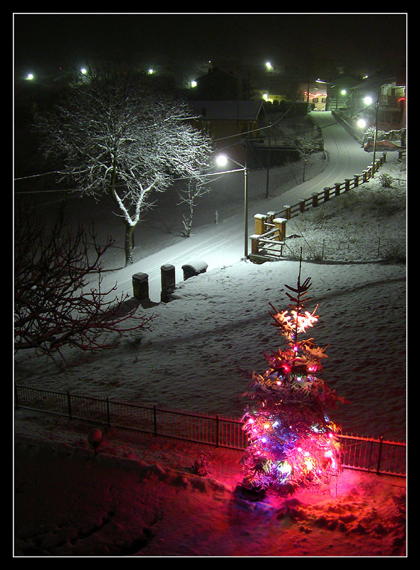 25 - Robiz