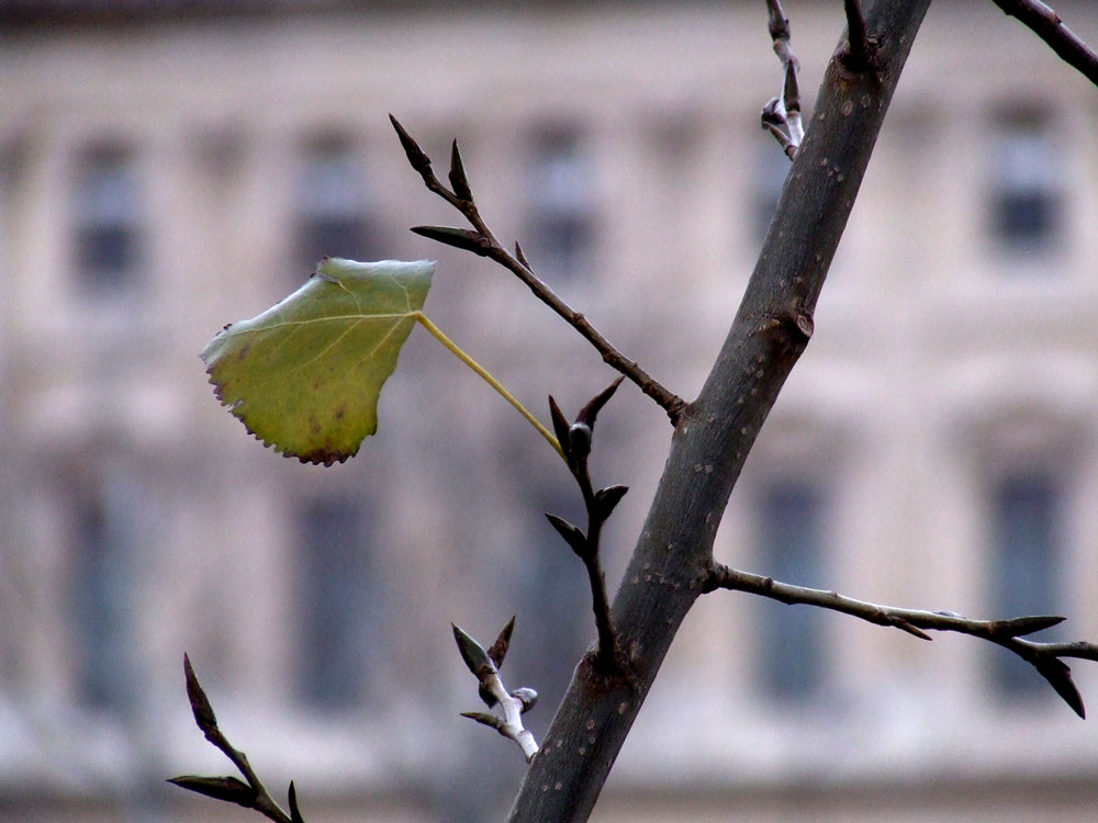 Autunno