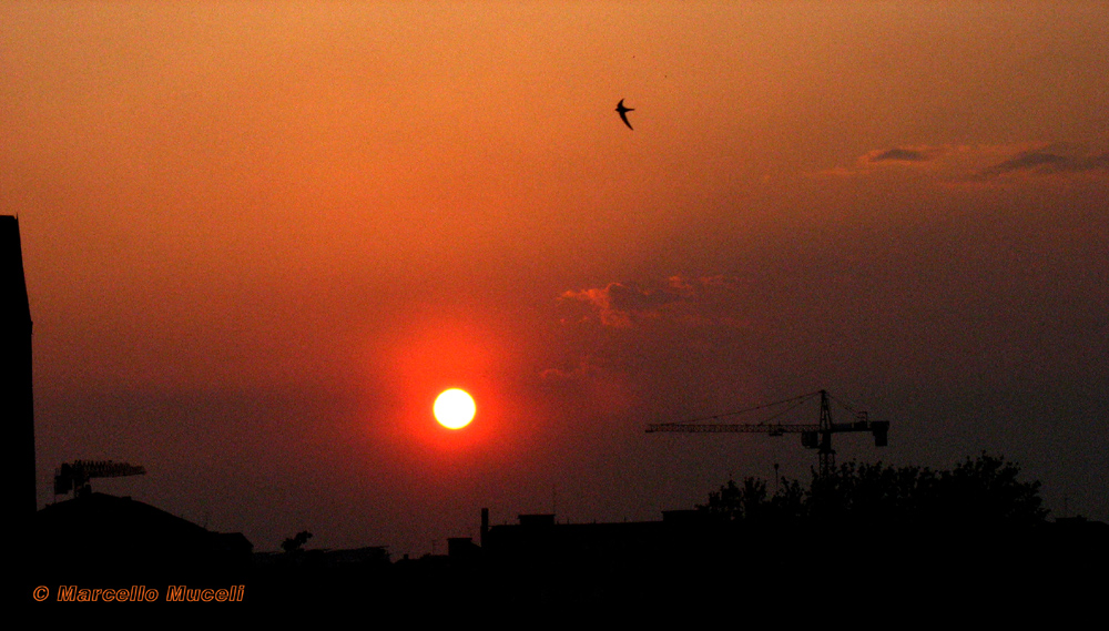 Uomo o natura?