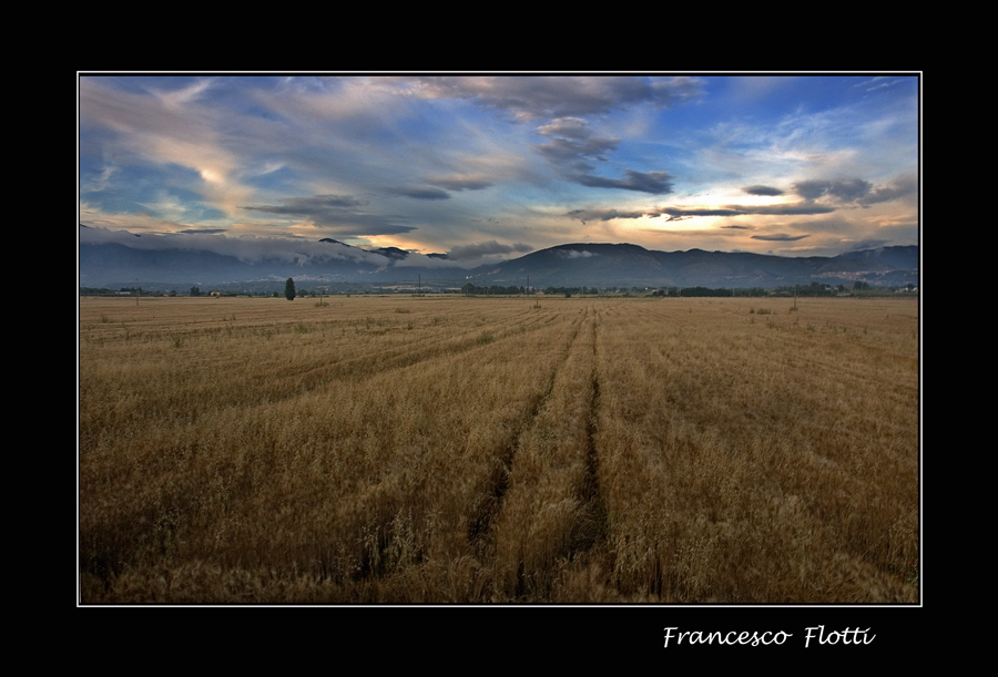 Grano
