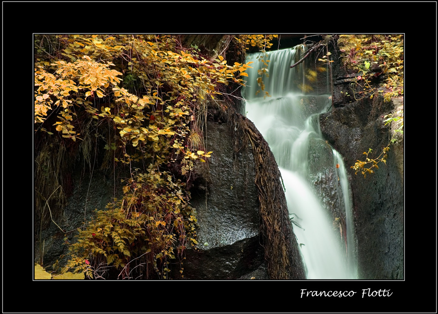autunno