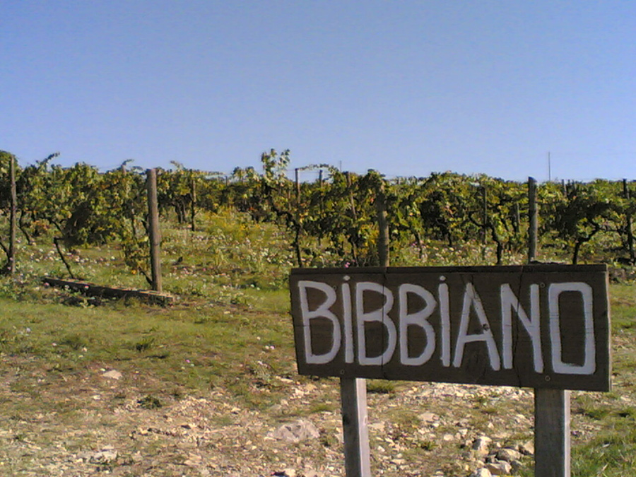Bibbiano City