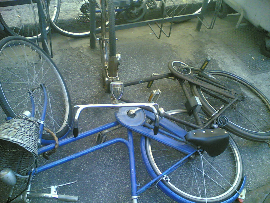 Domino Bici