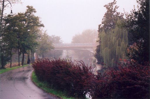 Naviglio