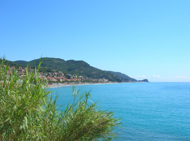 panorama