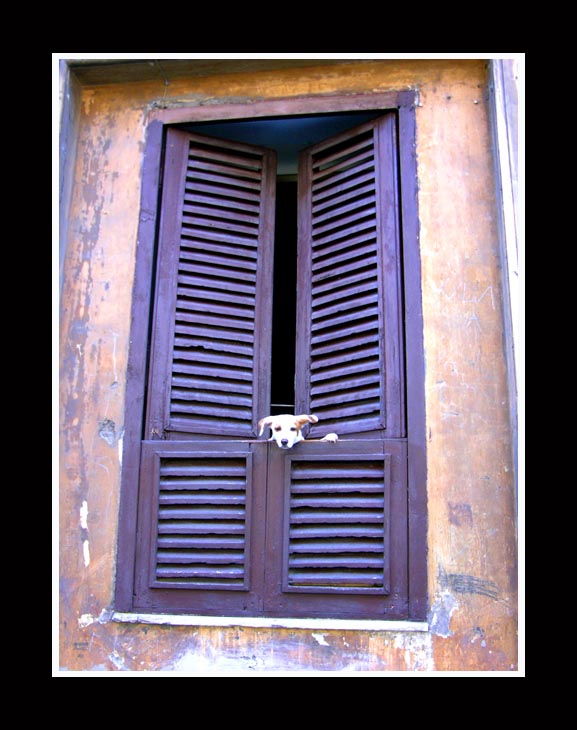 Roma