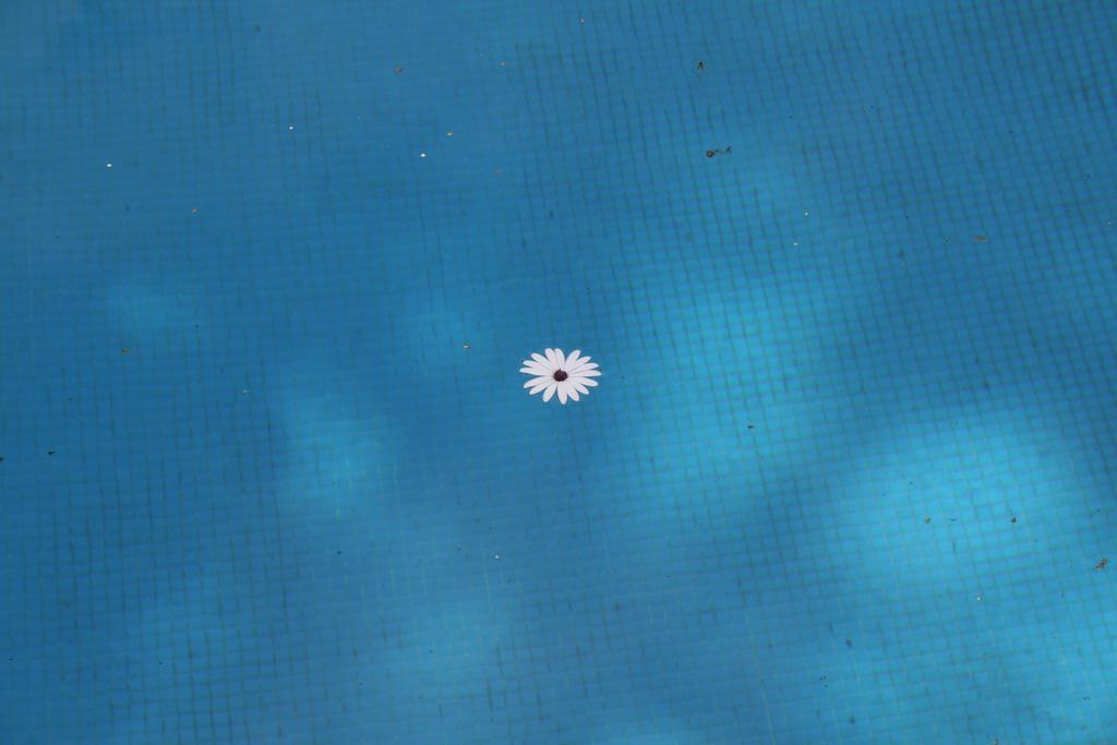 Nel blu!