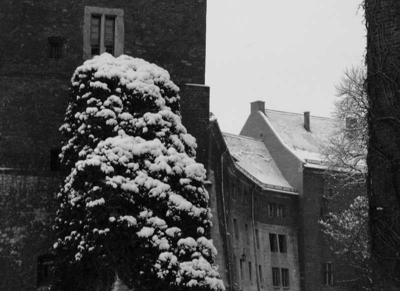 Cracovia