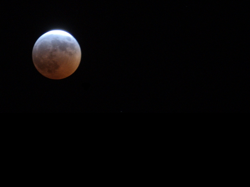 Luna rossa crop