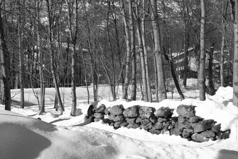 muretto nella neve