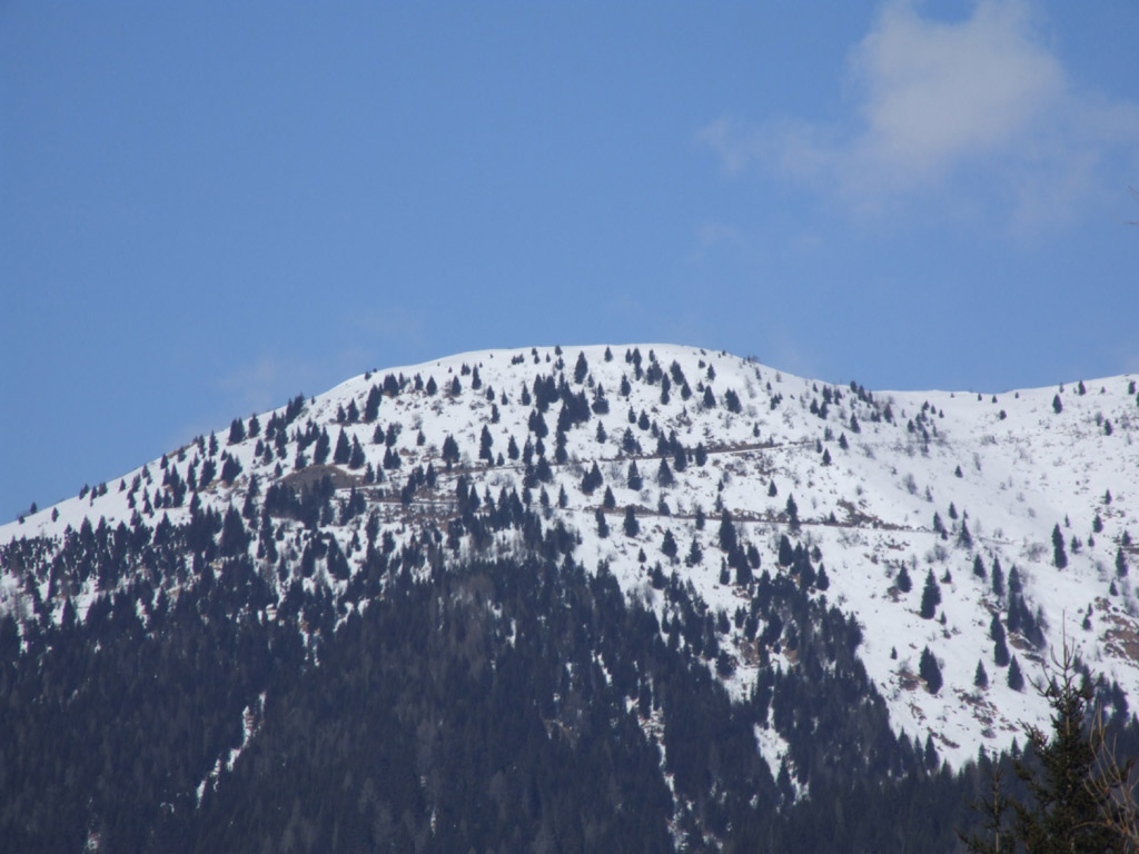 Zoncolan Tele