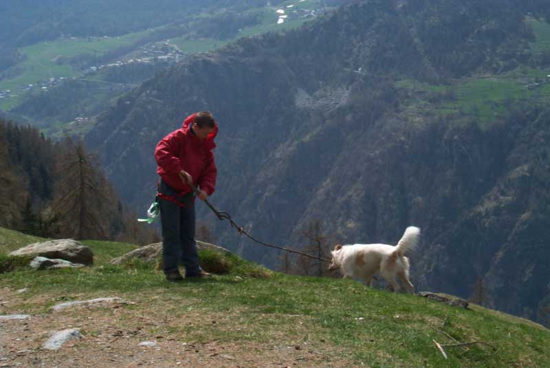chamois5