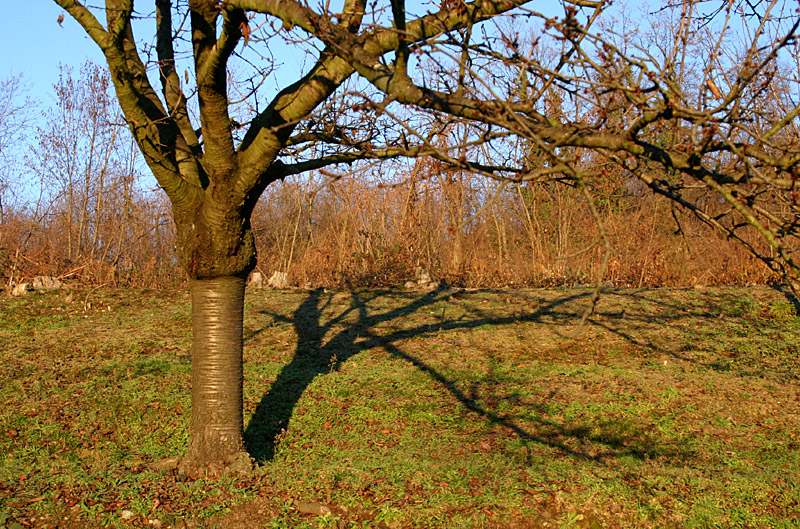 Colori autunnali