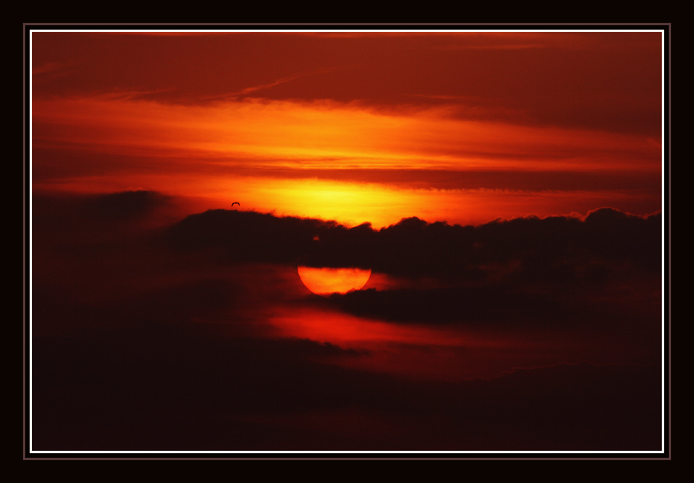 Flying over the sunset