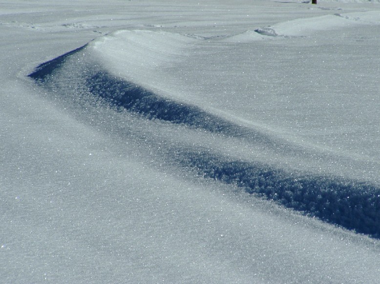 Dune mosse