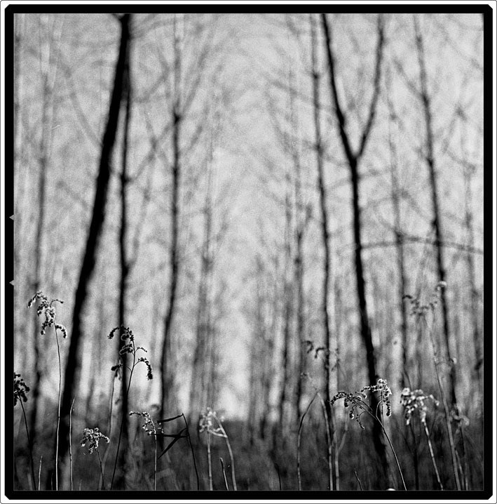 sfumature